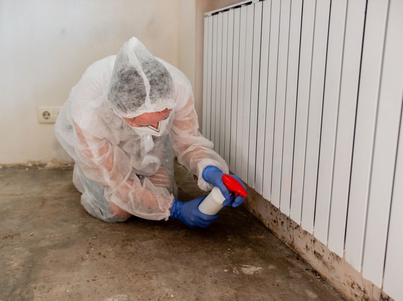 Smoke Remediation Service