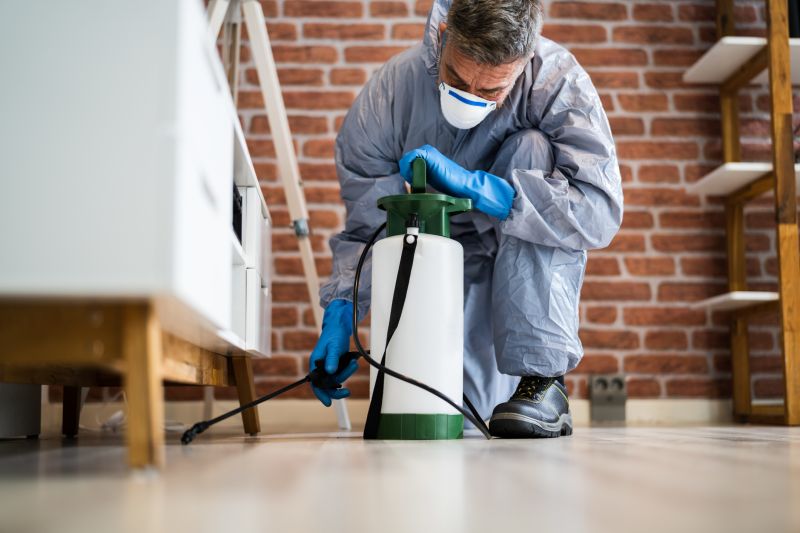 Smoke Remediation Service