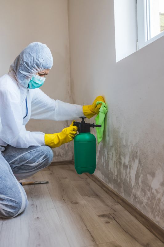 Smoke Remediation Service