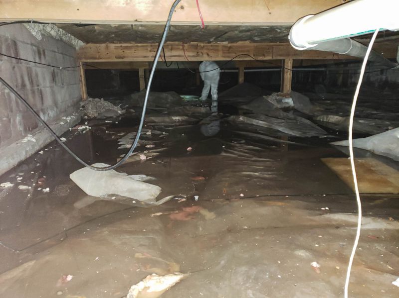 Water Extraction Service in Chandler, AZ